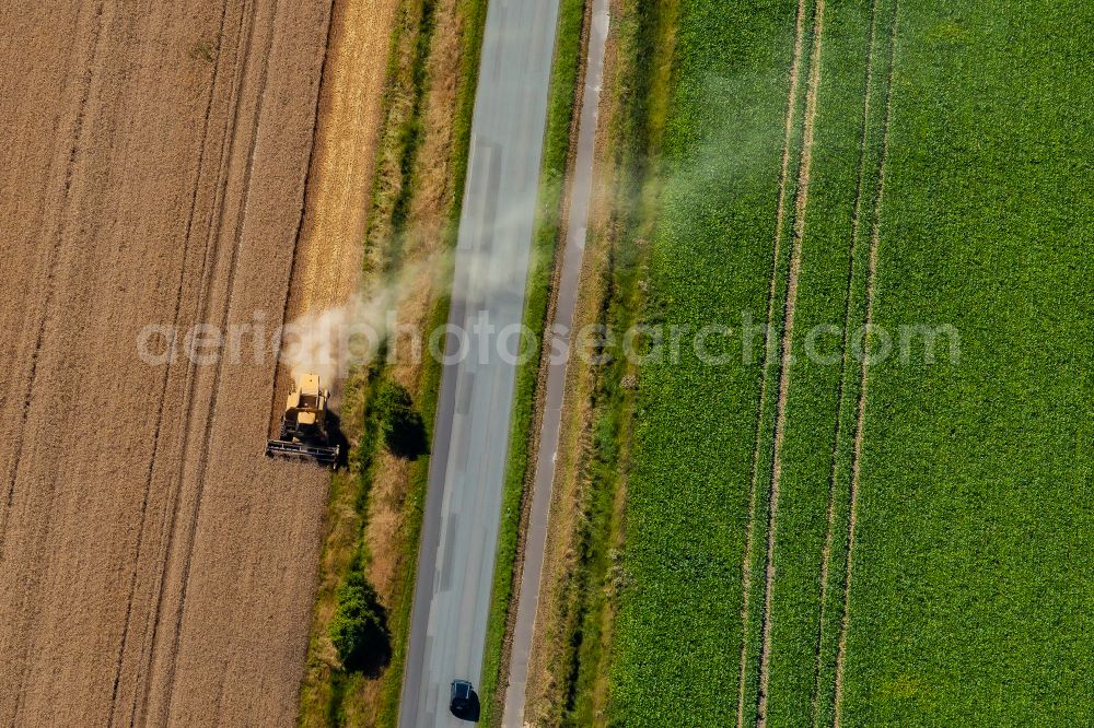 Aerial image Nordstrand - Harvest use of heavy agricultural machinery - combine harvesters and harvesting vehicles on agricultural fields on street Pohnshalligkoogstrasse in Nordstrand North Friesland in the state Schleswig-Holstein, Germany