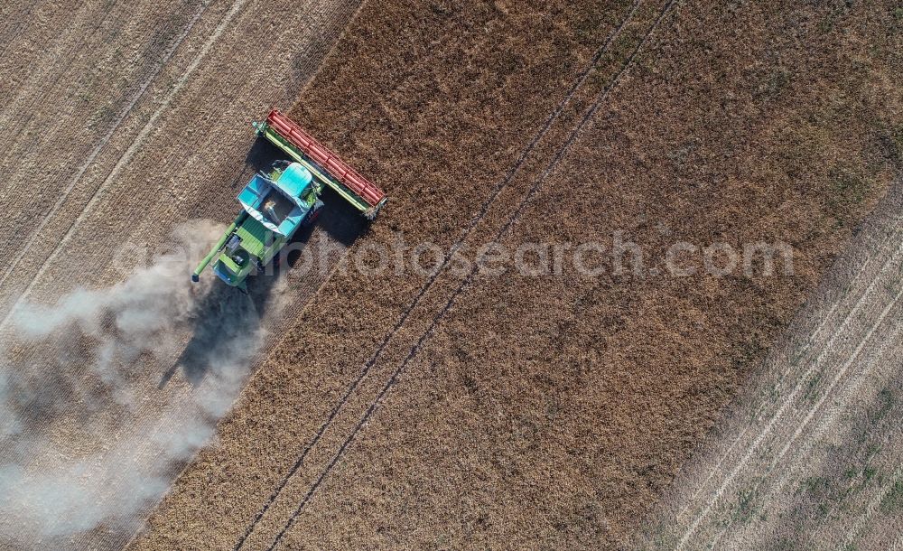 Treplin from the bird's eye view: Harvest use of heavy agricultural machinery - combine harvesters and harvesting vehicles on agricultural fields in Treplin in the state Brandenburg, Germany