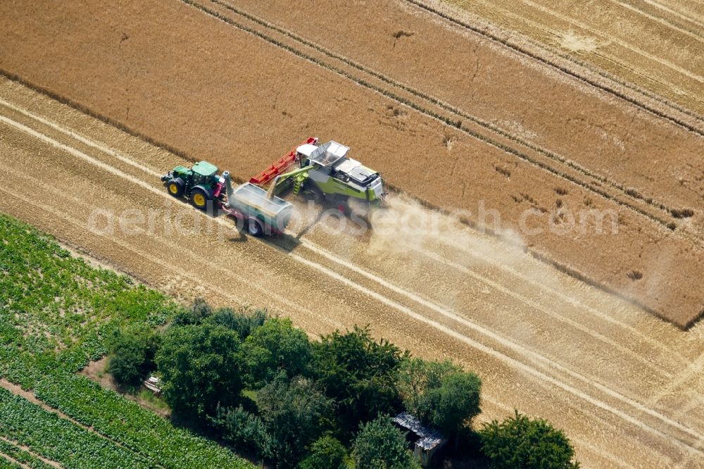 Weende from the bird's eye view: Harvest use of heavy agricultural machinery - combine harvesters and harvesting vehicles on agricultural fields in Weende in the state Lower Saxony, Germany