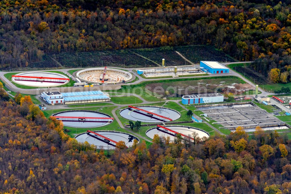 Forchheim from the bird's eye view: Sewage treatment basins and purification stages in Forchheim in the state Baden-Wurttemberg, Germany