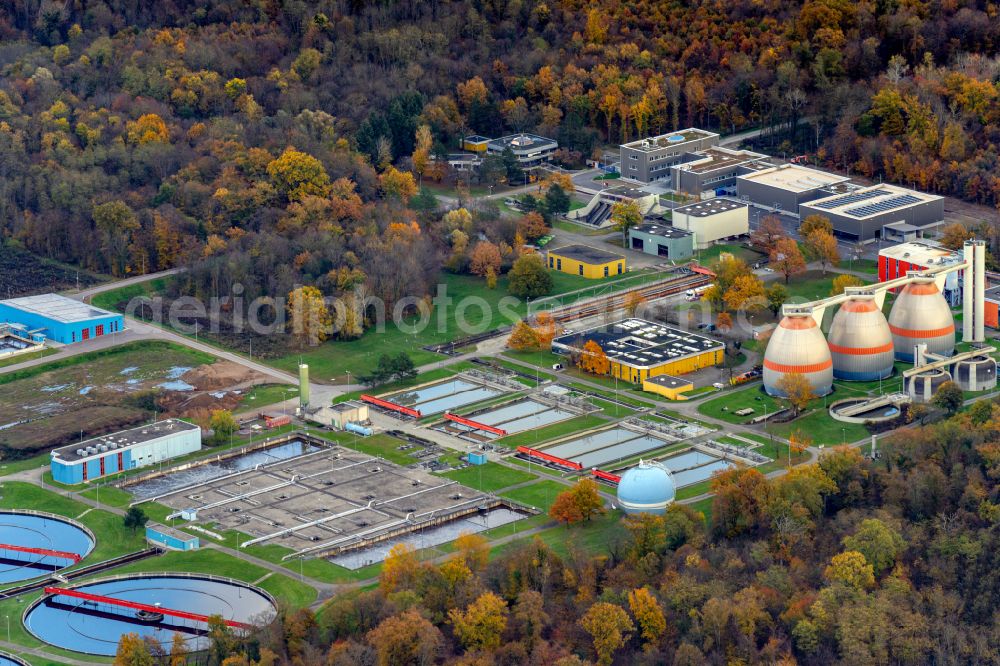 Forchheim from above - Sewage treatment basins and purification stages in Forchheim in the state Baden-Wurttemberg, Germany