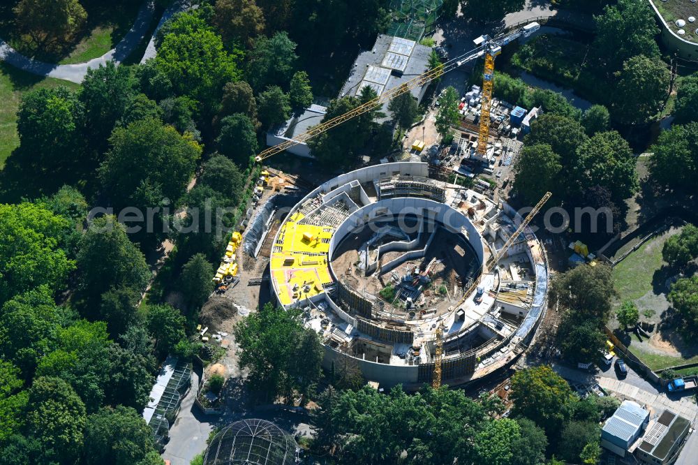 Dresden from the bird's eye view: Construction site of animal breeding accommodation Orang-Utan-Haus on street Tiergartenstrasse in Dresden in the state Saxony, Germany