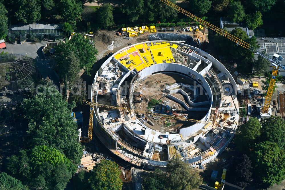 Aerial image Dresden - Construction site of animal breeding accommodation Orang-Utan-Haus on street Tiergartenstrasse in Dresden in the state Saxony, Germany