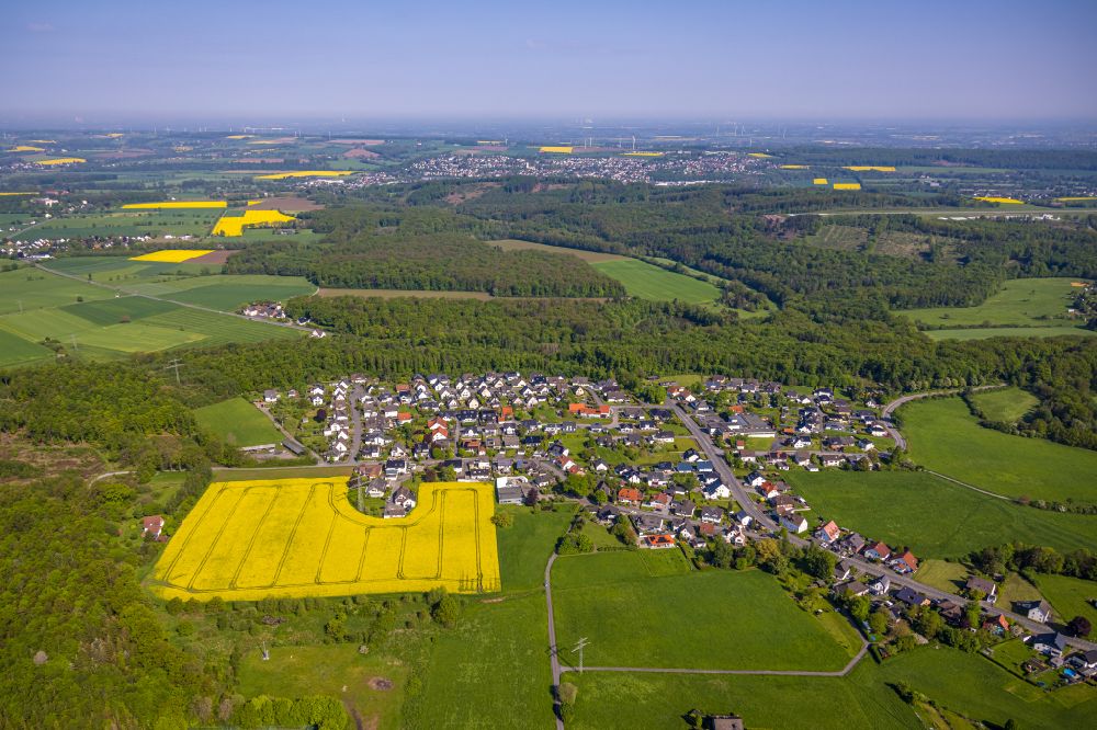 Aerial photograph Arnsberg - Field landscape yellow flowering rapeseed flowers in the district Vosswinkel in Arnsberg at Sauerland in the state North Rhine-Westphalia, Germany