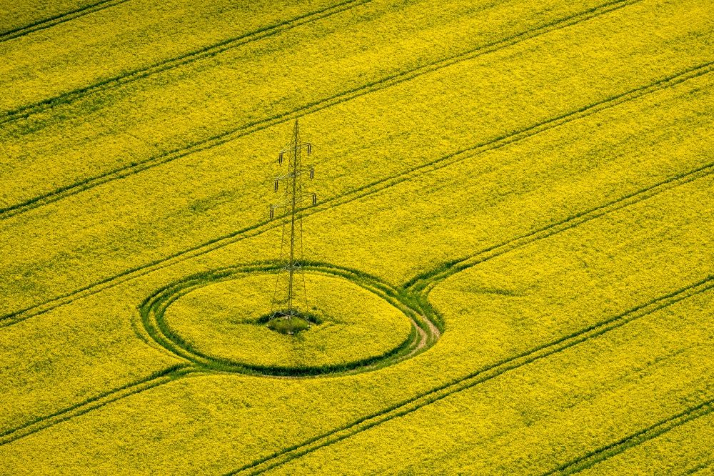 Aerial photograph Bad Wünnenberg - Field landscape yellow flowering rapeseed flowers in Bad Wuennenberg in the state North Rhine-Westphalia, Germany