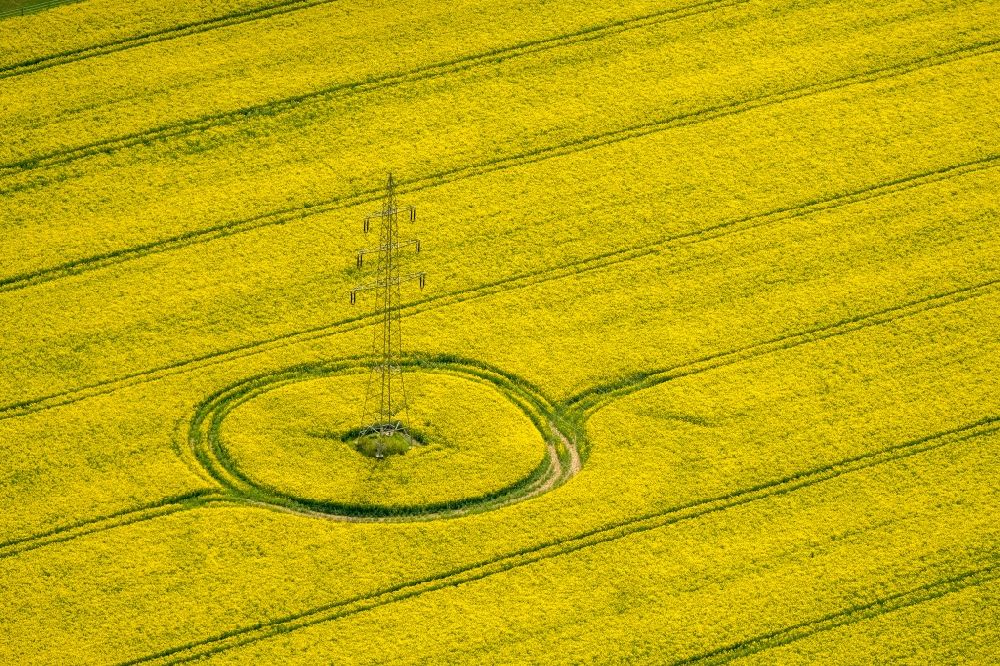 Bad Wünnenberg from the bird's eye view: Field landscape yellow flowering rapeseed flowers in Bad Wuennenberg in the state North Rhine-Westphalia, Germany