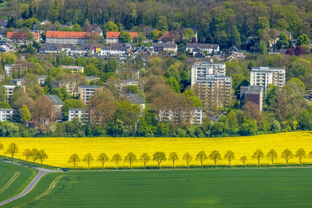 Aerial photograph Dortmund - Field landscape yellow flowering rapeseed flowers in the district Kley in Dortmund at Ruhrgebiet in the state North Rhine-Westphalia, Germany