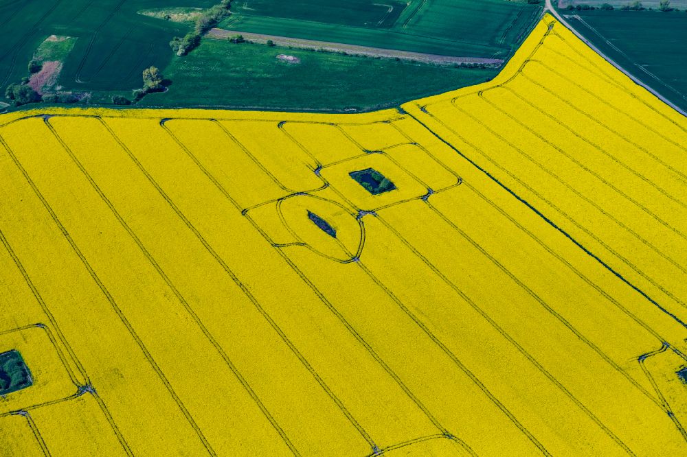 Aerial image Fehmarn - Field landscape yellow flowering rapeseed flowers in Fehmarn in the state Schleswig-Holstein, Germany