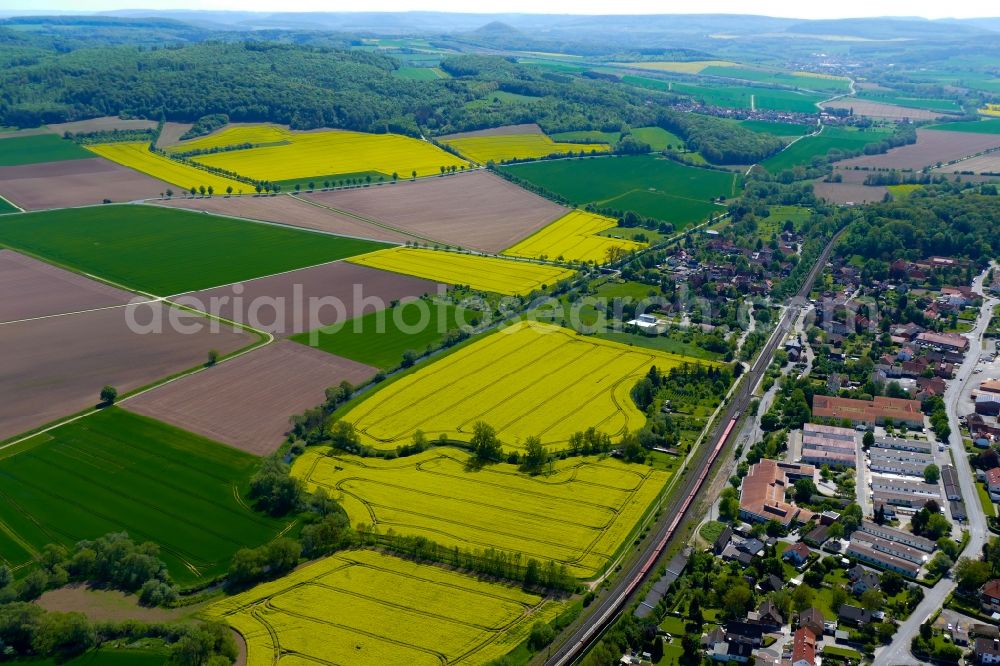 Friedland from the bird's eye view: Field landscape yellow flowering rapeseed flowers in Friedland in the state Lower Saxony, Germany