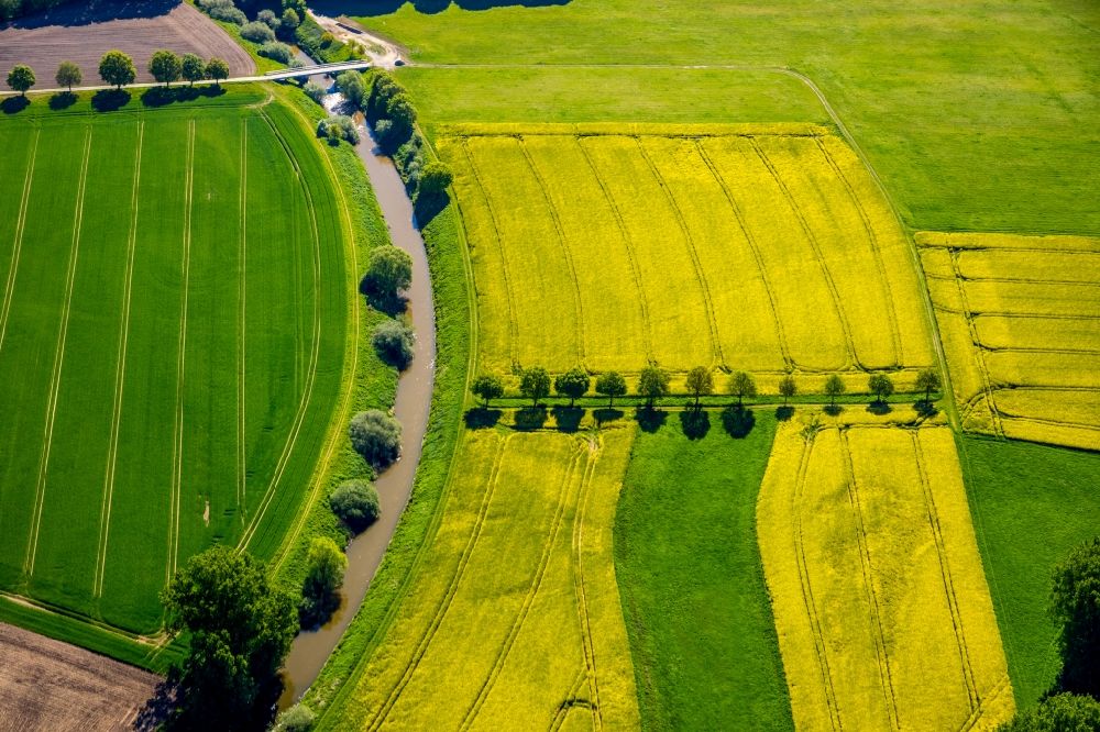 Aerial photograph Gelmer - Field landscape yellow flowering rapeseed flowers in Gelmer in the state North Rhine-Westphalia, Germany