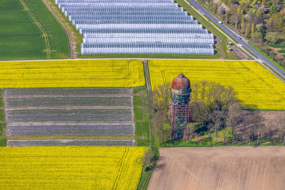 Lanstrop from above - Field landscape of yellow blooming oilseed rape flowers Lanstroper Ei in Lanstrop in the Ruhr area in the state of North Rhine-Westphalia, Germany