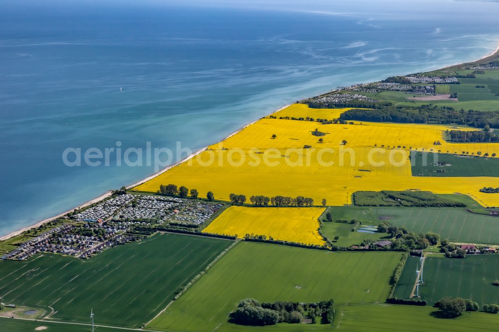 Aerial image Neukirchen - Field landscape yellow flowering rapeseed flowers on the sea coast of the Baltic Sea in Heringsdorf in the state Schleswig-Holstein, Germany