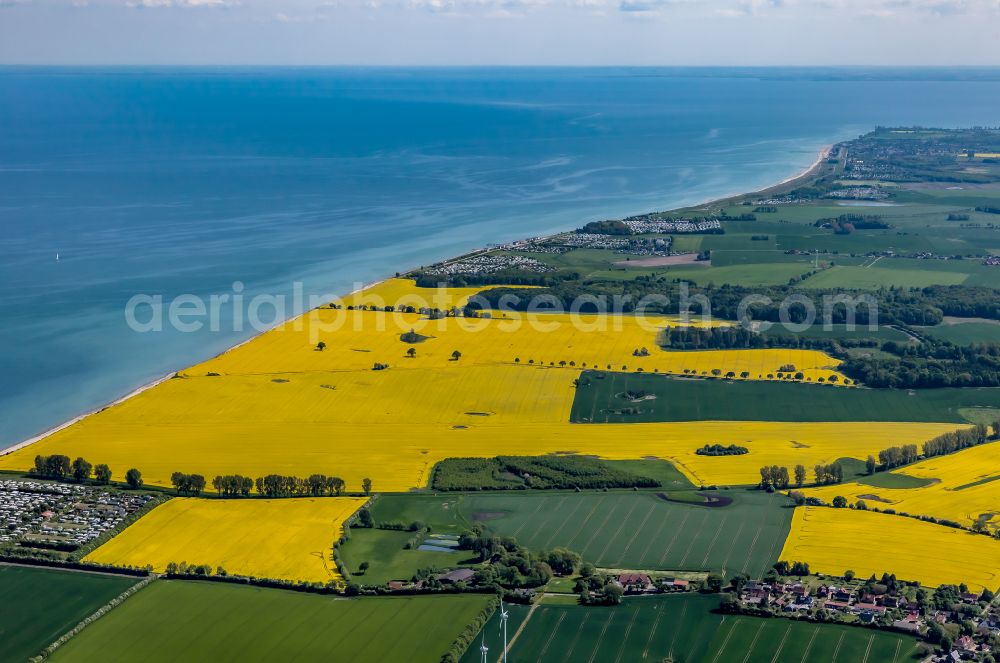 Aerial photograph Heringsdorf - Field landscape yellow flowering rapeseed flowers on the sea coast of the Baltic Sea in Heringsdorf in the state Schleswig-Holstein, Germany