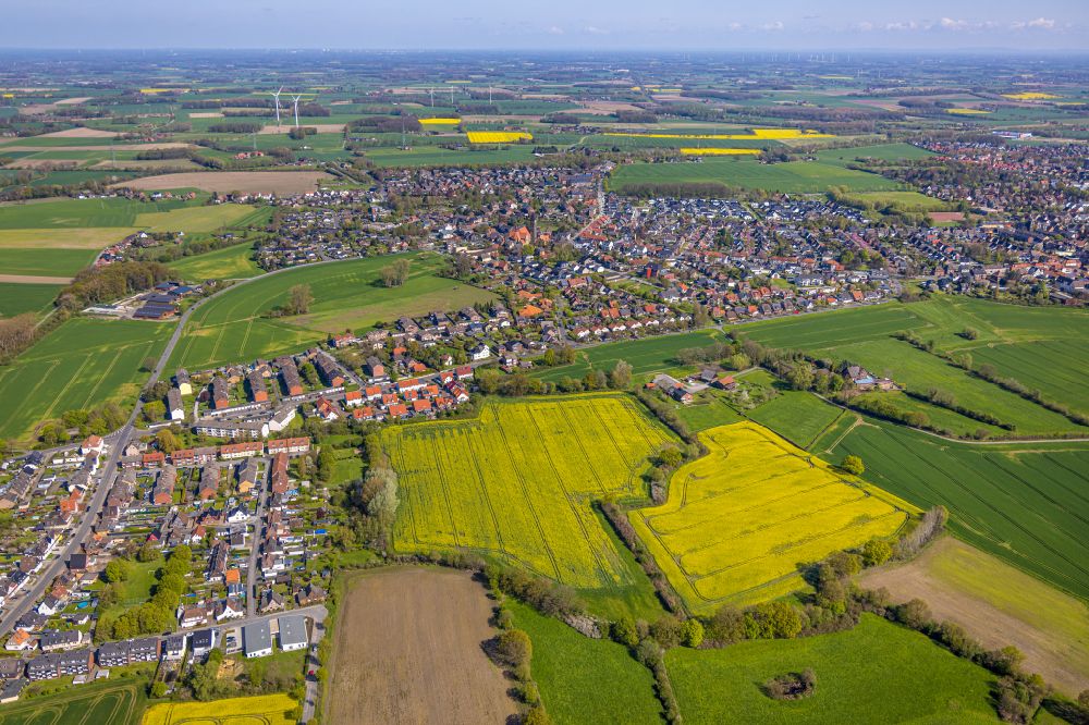 Merschhoven from above - Field landscape yellow flowering rapeseed flowers in Merschhoven at Ruhrgebiet in the state North Rhine-Westphalia, Germany