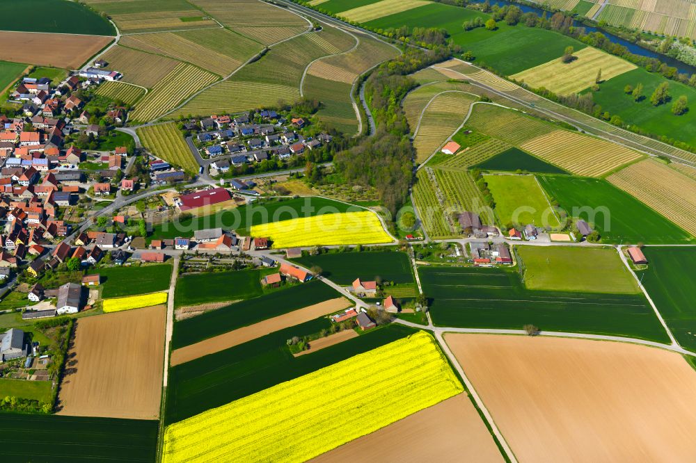 Neuses a.Berg from the bird's eye view: Field landscape yellow flowering rapeseed flowers in Neuses a.Berg in the state Bavaria, Germany