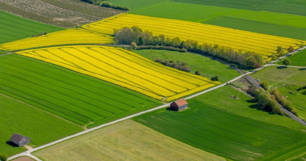 Aerial image Rüthen - Field landscape yellow flowering rapeseed flowers in Ruethen in the state North Rhine-Westphalia, Germany
