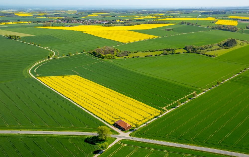 Aerial photograph Rüthen - Field landscape yellow flowering rapeseed flowers in Ruethen in the state North Rhine-Westphalia, Germany