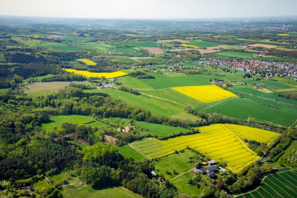 Aerial photograph Sümmern - Field landscape yellow flowering rapeseed flowers in Suemmern in the state North Rhine-Westphalia, Germany