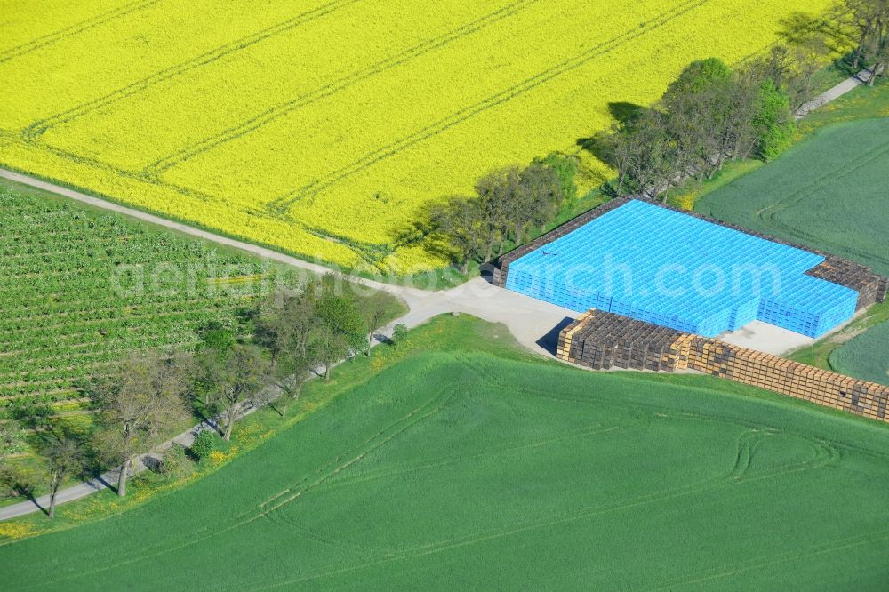 Aerial photograph Wesendahl - Field landscape yellow flowering rapeseed flowers on a country road with a pile of blue fruit boxes at Wesendahl in Brandenburg