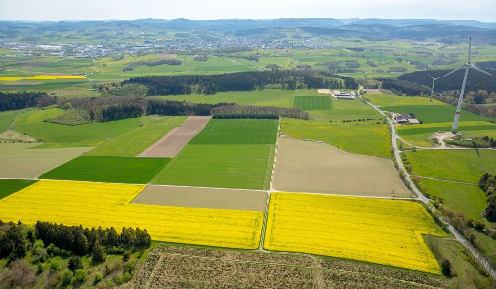 Scharfenberg from the bird's eye view: Field landscape yellow flowering rapeseed flowers but also green fields in Scharfenberg in the state North Rhine-Westphalia, Germany
