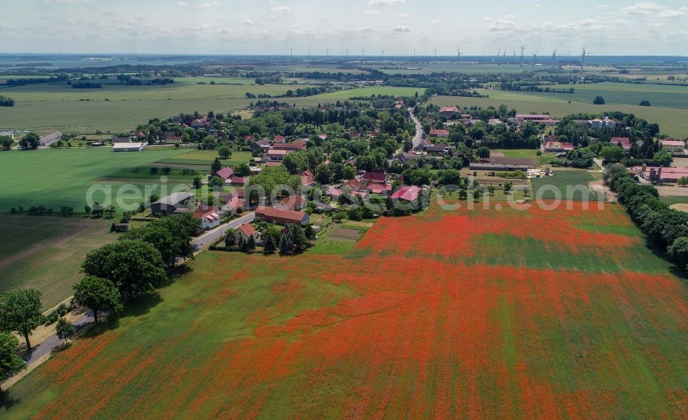 Aerial image Friedersdorf - Field landscape of red blooming poppy flowers in Friedersdorf in the state Brandenburg, Germany