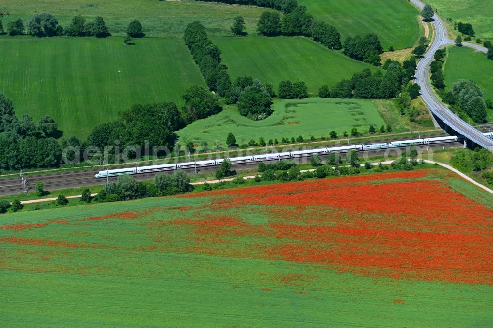 Aerial photograph Insel - Field landscape of red blooming poppy flowers in Insel in the state Saxony-Anhalt, Germany