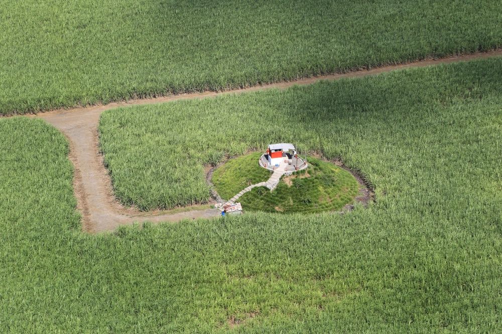 Aerial image Union Vale - Field landscape an lookout Point in a sugarcane field in the south of Mauritius at Union Vale
