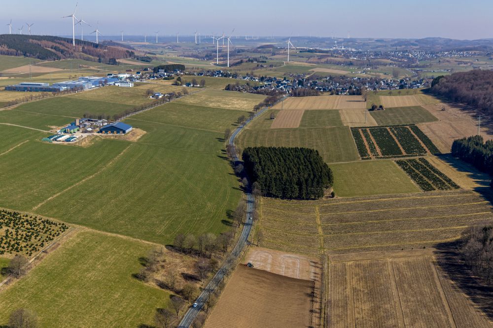 Brilon from above - Agricultural fields with adjacent forest and forest areas on street Antfelder Strasse in Brilon at Sauerland in the state North Rhine-Westphalia, Germany