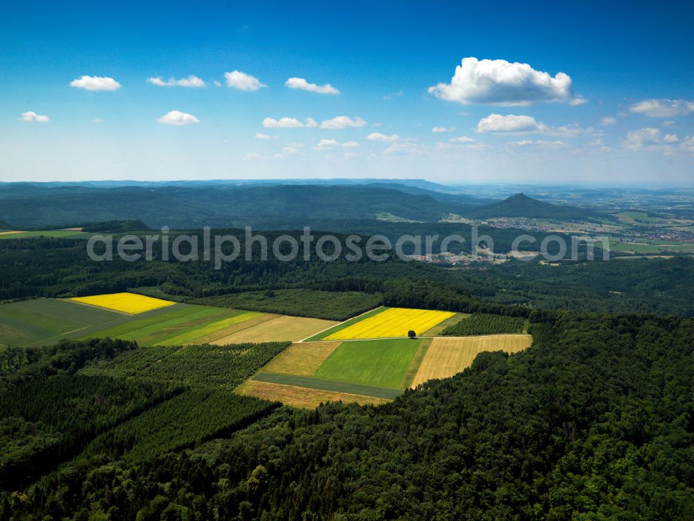 Burladingen from the bird's eye view: Agricultural fields with adjacent forest and forest areas in Burladingen in the state Baden-Wuerttemberg, Germany