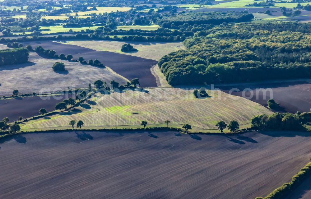 Aerial image Felm - Agricultural fields with adjacent forest and forest areas in Felm in the state Schleswig-Holstein, Germany