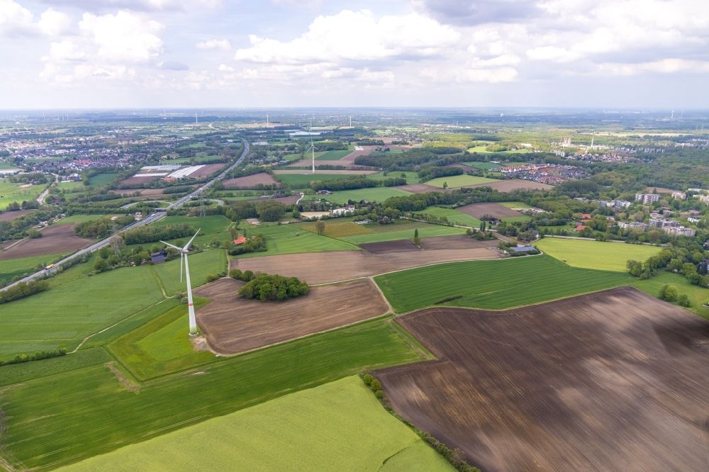 Aerial image Gladbeck - Agricultural fields with adjacent forest and forest areas in Gladbeck at Ruhrgebiet in the state North Rhine-Westphalia, Germany
