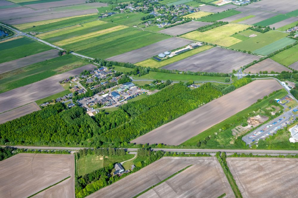 Risum-Lindholm from the bird's eye view: Agricultural fields with adjacent forest and forest areas Legerade in Risum-Lindholm North Friesland in the state Schleswig-Holstein, Germany