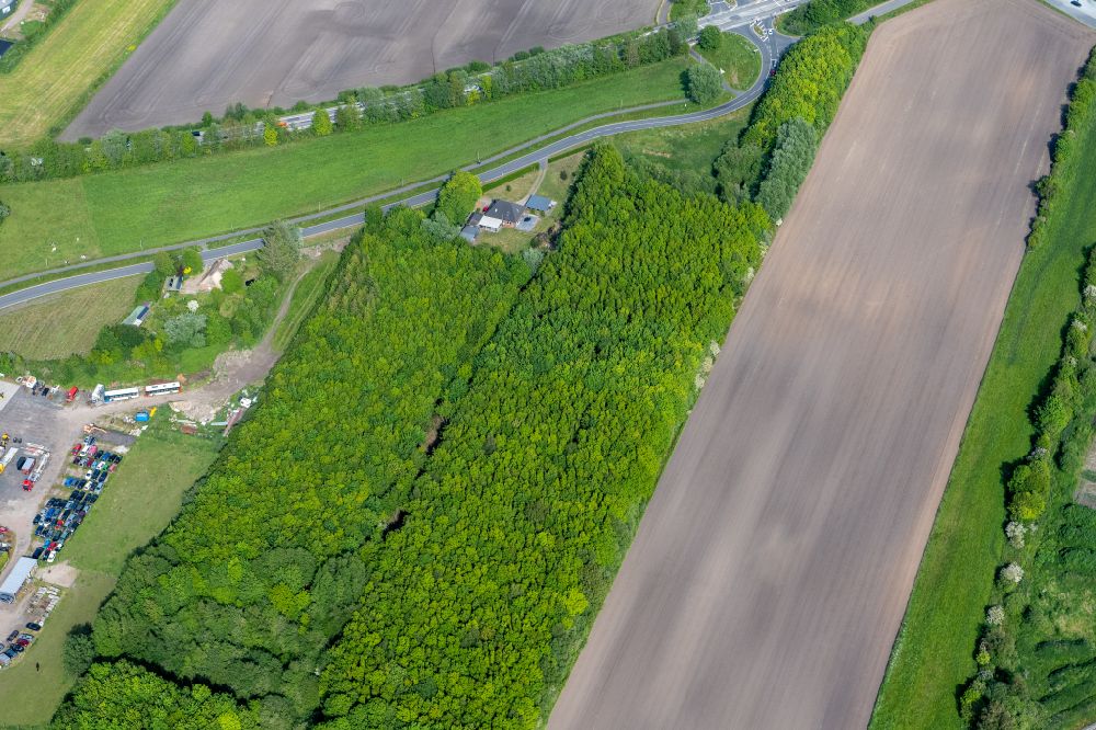Aerial image Risum-Lindholm - Agricultural fields with adjacent forest and forest areas Legerade in Risum-Lindholm North Friesland in the state Schleswig-Holstein, Germany