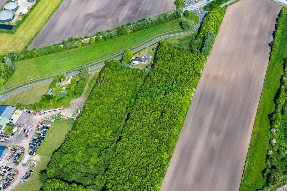 Aerial image Risum-Lindholm - Agricultural fields with adjacent forest and forest areas Legerade in Risum-Lindholm North Friesland in the state Schleswig-Holstein, Germany