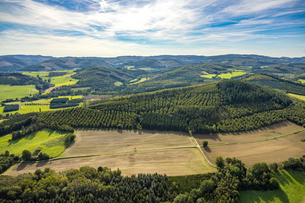 Aerial photograph Sundern (Sauerland) - Agricultural fields with adjacent forest and forest areas in Sundern (Sauerland) at Sauerland in the state North Rhine-Westphalia, Germany