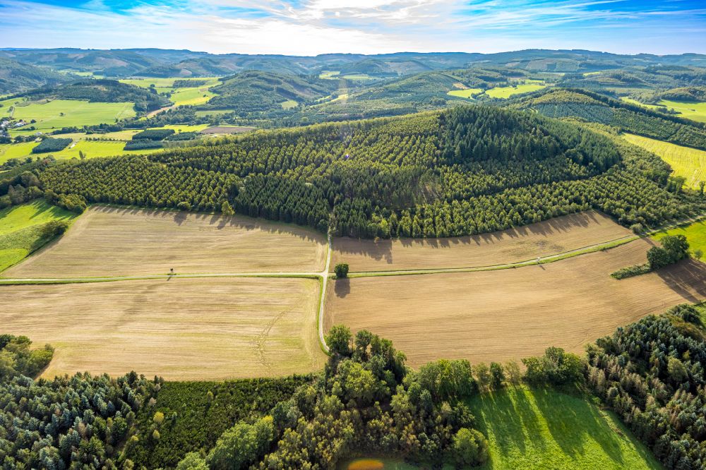 Sundern (Sauerland) from above - Agricultural fields with adjacent forest and forest areas in Sundern (Sauerland) at Sauerland in the state North Rhine-Westphalia, Germany