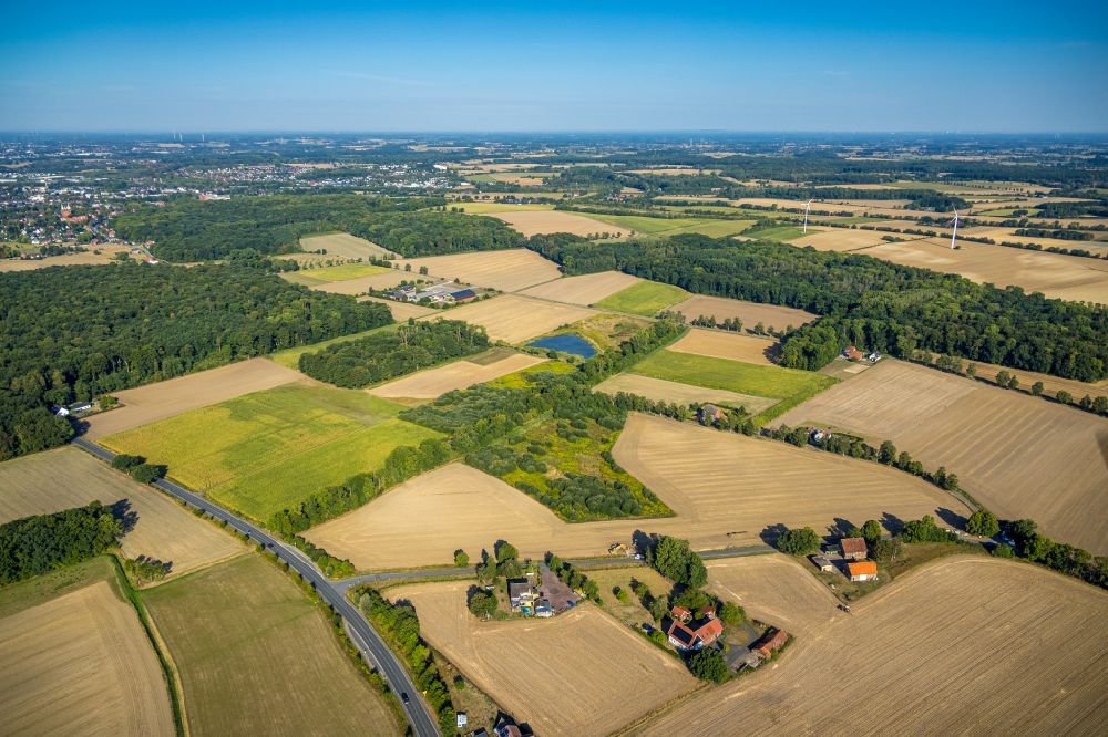 Westhusen from the bird's eye view: Agricultural fields with adjacent forest and forest areas on street Westhusen in Westhusen at Ruhrgebiet in the state North Rhine-Westphalia, Germany