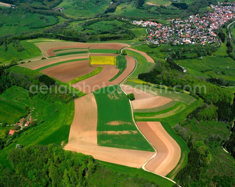Wissgoldingen from the bird's eye view: Agricultural fields with adjacent forest and forest areas in Wissgoldingen in the state Baden-Wuerttemberg, Germany