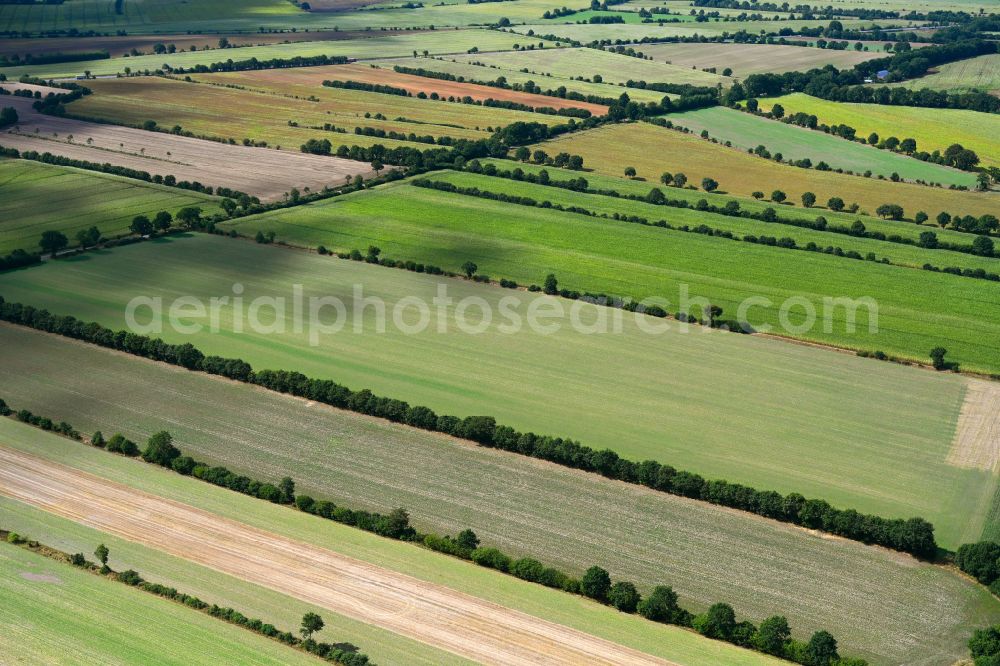 Aerial image Negernbötel - Agricultural fields with adjacent forest and forest areas in Negernboetel in the state Schleswig-Holstein, Germany