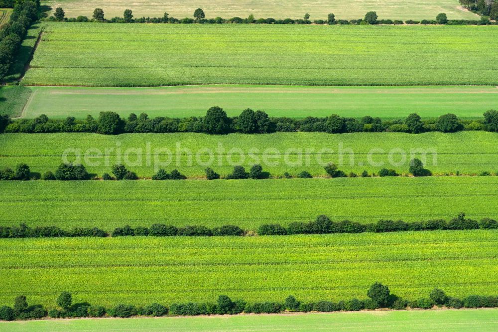 Aerial photograph Negernbötel - Agricultural fields with adjacent forest and forest areas in Negernboetel in the state Schleswig-Holstein, Germany