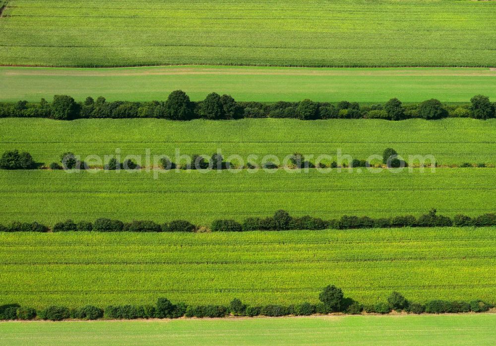 Negernbötel from above - Agricultural fields with adjacent forest and forest areas in Negernboetel in the state Schleswig-Holstein, Germany