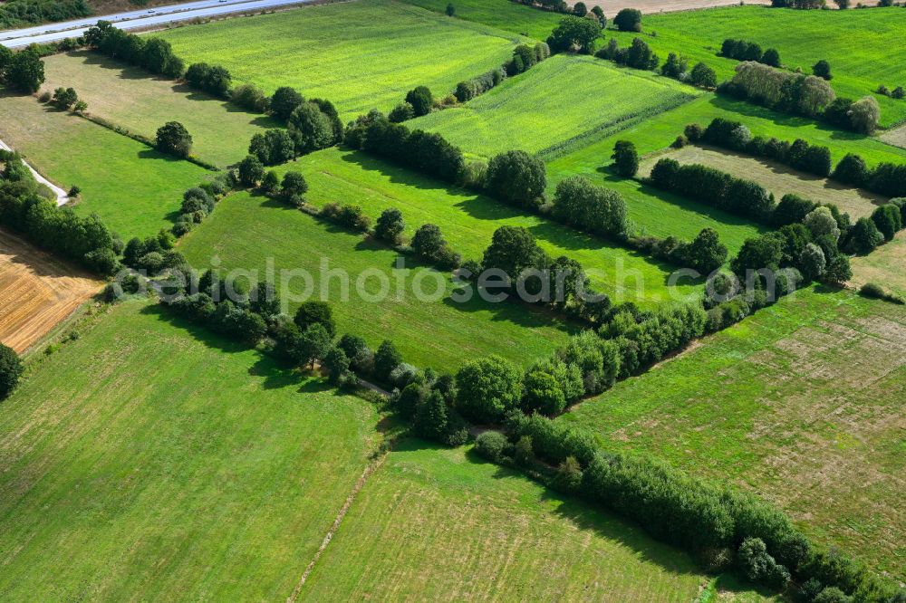Aerial photograph Daldorf - Agricultural fields with adjacent forest and forest areas in Daldorf in the state Schleswig-Holstein, Germany