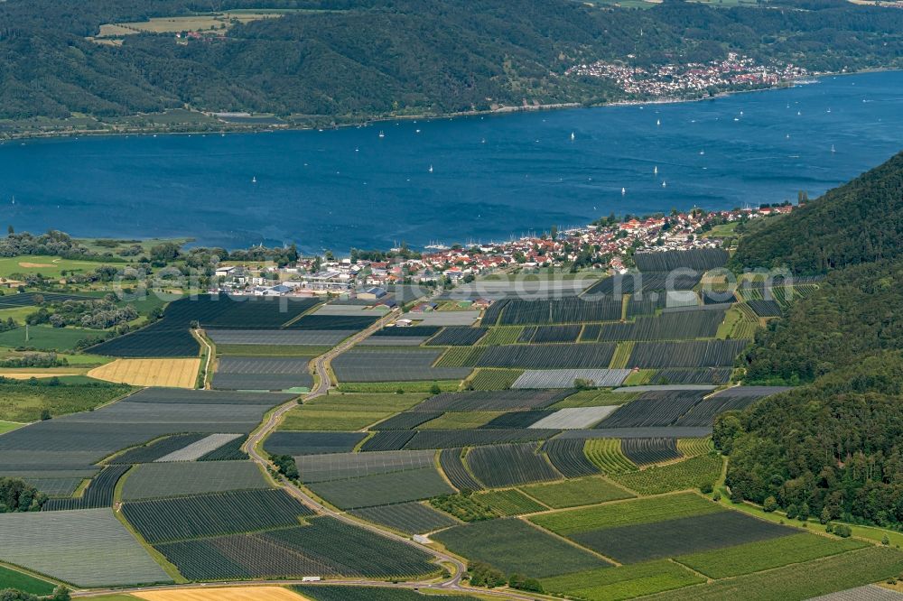 Bodman-Ludwigshafen from the bird's eye view: Barn building on the edge of agricultural fields and farmland on lake of Constance in Bodman-Ludwigshafen in the state Baden-Wuerttemberg, Germany