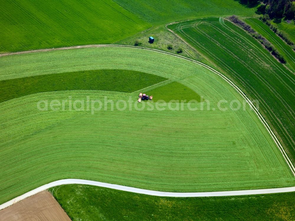 Aerial photograph Langenau OT Albeck - View of field structures near Albeck in the state Baden-Wuerttemberg