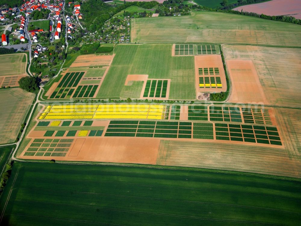Dornburg from above - View of field structures near Dornburg in the state Hesse