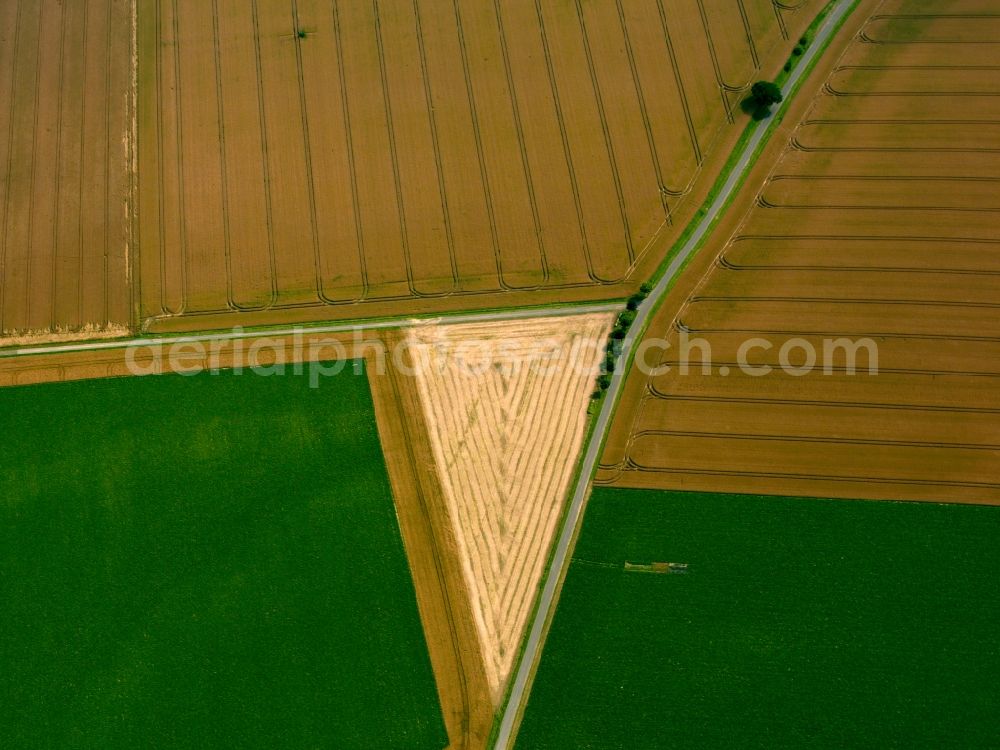 Aerial image Marburg - View of field structures near Marburg in the state Hesse