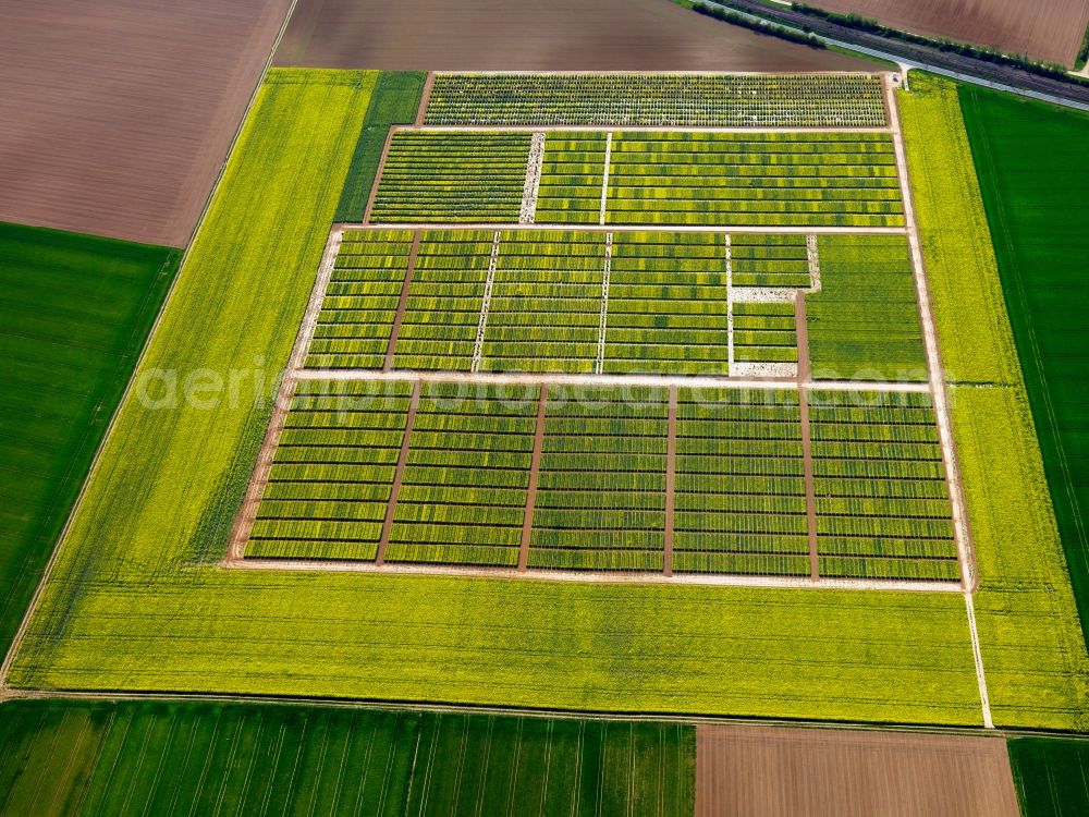 Aerial photograph Seligenstadt - View of field structures near Seligenstadt in the state Hesse