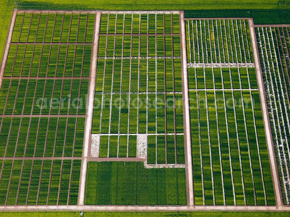 Seligenstadt from above - View of field structures near Seligenstadt in the state Hesse