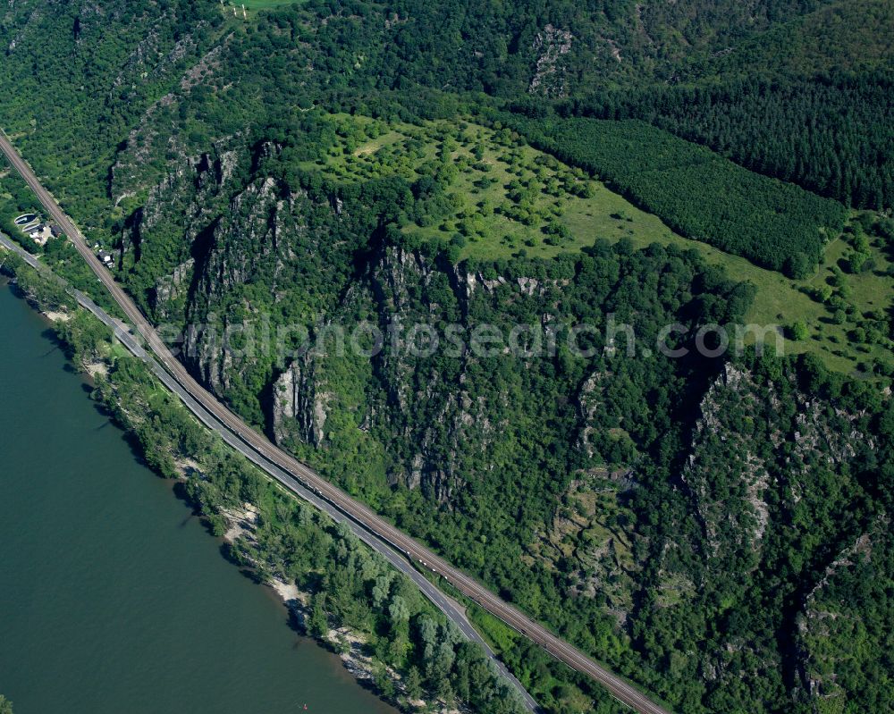 Ehrenthal from the bird's eye view: Riparian zones on the course of the river of the Rhine river in Ehrenthal in the state Rhineland-Palatinate, Germany