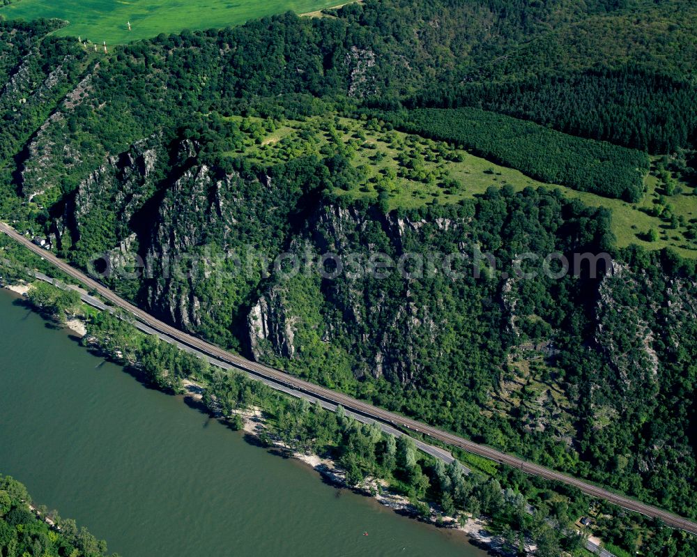 Aerial image Ehrenthal - Riparian zones on the course of the river of the Rhine river in Ehrenthal in the state Rhineland-Palatinate, Germany